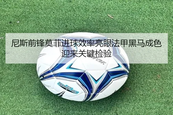 尼斯前锋莫菲进球效率亮眼法甲黑马成色迎来关键检验
